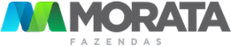Logo Header